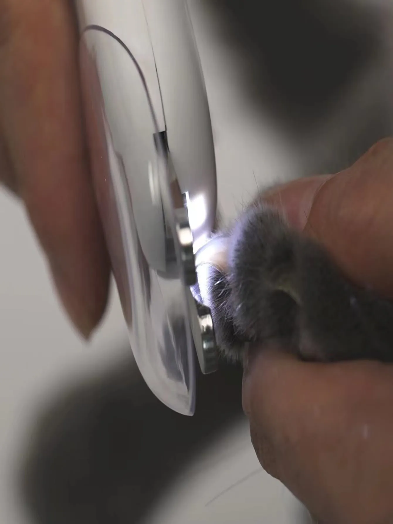 1pc Pet Nail Clippers