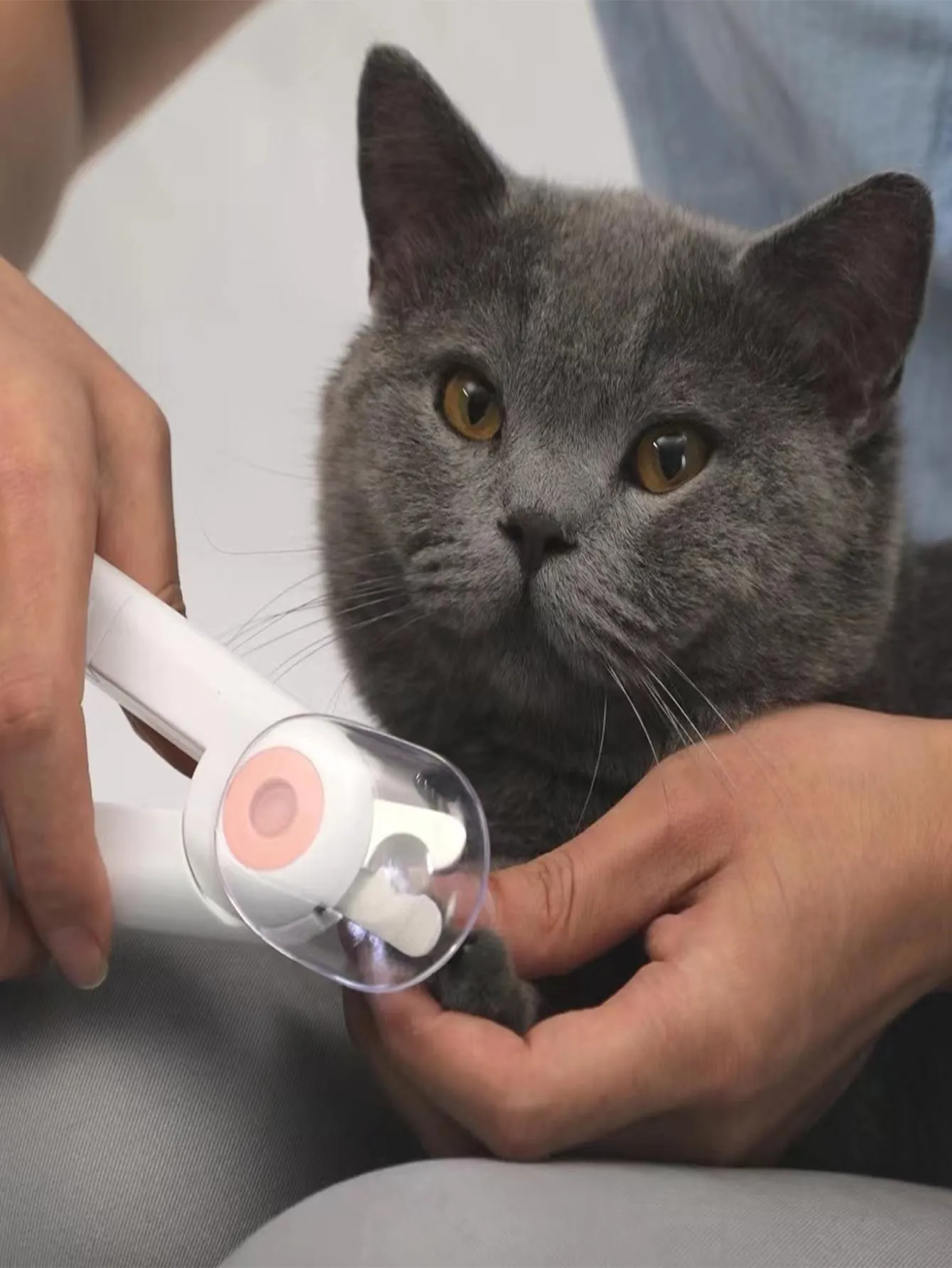 1pc Pet Nail Clippers