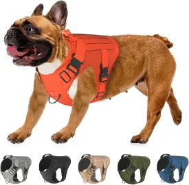 Adjustable Tactical Dog Harness & Leash Set - No-Pull MOLLE Vest with Handle, Front Leash Clip, Hook & Patch - Perfect for Small to Large Dogs (S: Neck 14"-18", Chest 22"-27"), Safety Orange