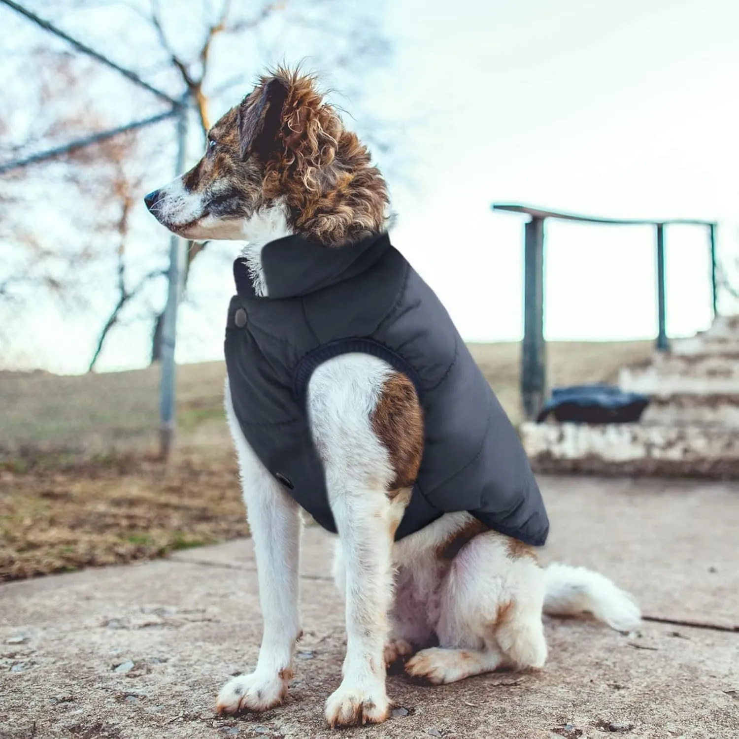 ASENKU Windproof Winter Coat - Waterproof Jacket, Warm Vest for Cold Weather - Pet Apparel With 2 Layers Fleece Lined for Small Medium Large Dogs (XS, Blue)