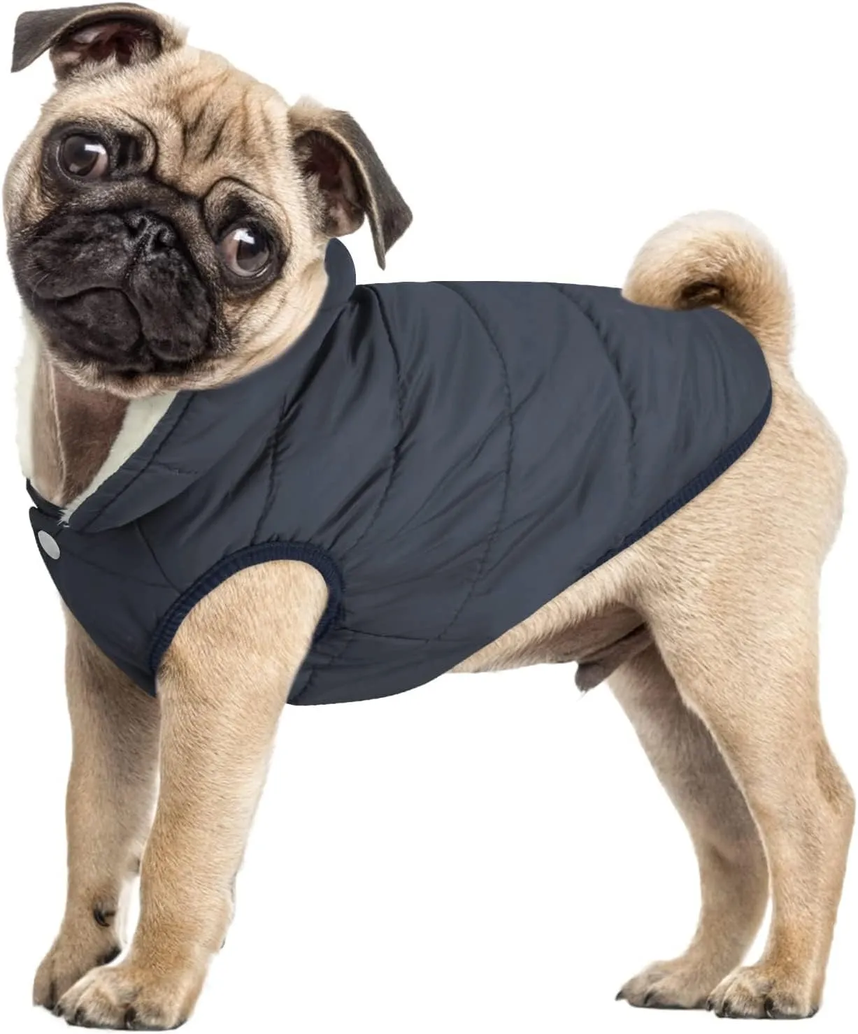 ASENKU Windproof Winter Coat - Waterproof Jacket, Warm Vest for Cold Weather - Pet Apparel With 2 Layers Fleece Lined for Small Medium Large Dogs (XS, Blue)