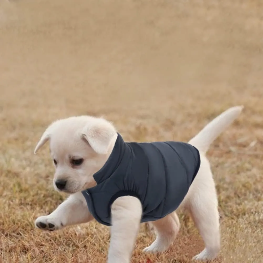 ASENKU Windproof Winter Coat - Waterproof Jacket, Warm Vest for Cold Weather - Pet Apparel With 2 Layers Fleece Lined for Small Medium Large Dogs (XS, Blue)