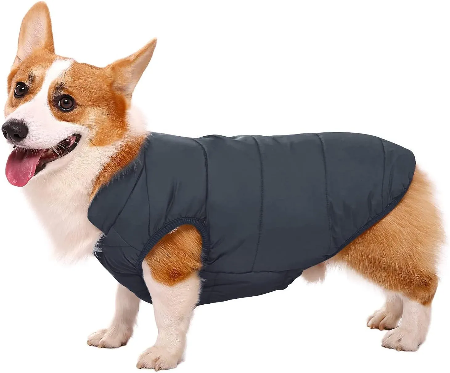 ASENKU Windproof Winter Coat - Waterproof Jacket, Warm Vest for Cold Weather - Pet Apparel With 2 Layers Fleece Lined for Small Medium Large Dogs (XS, Blue)