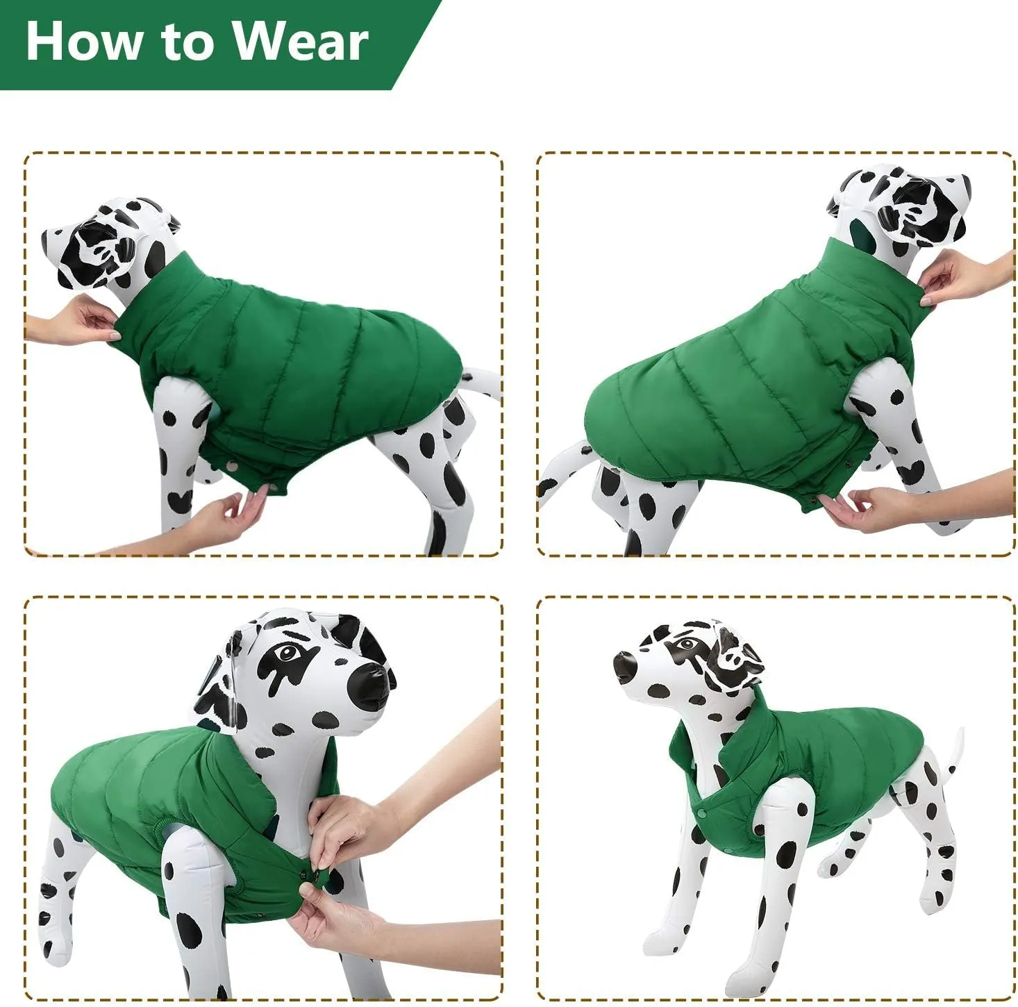 ASENKU Windproof Winter Coat - Waterproof Jacket, Warm Vest for Dogs, Cold Weather Pet Apparel With 2 Layers Fleece Lined for Small Medium Large Dogs (XS, Green)
