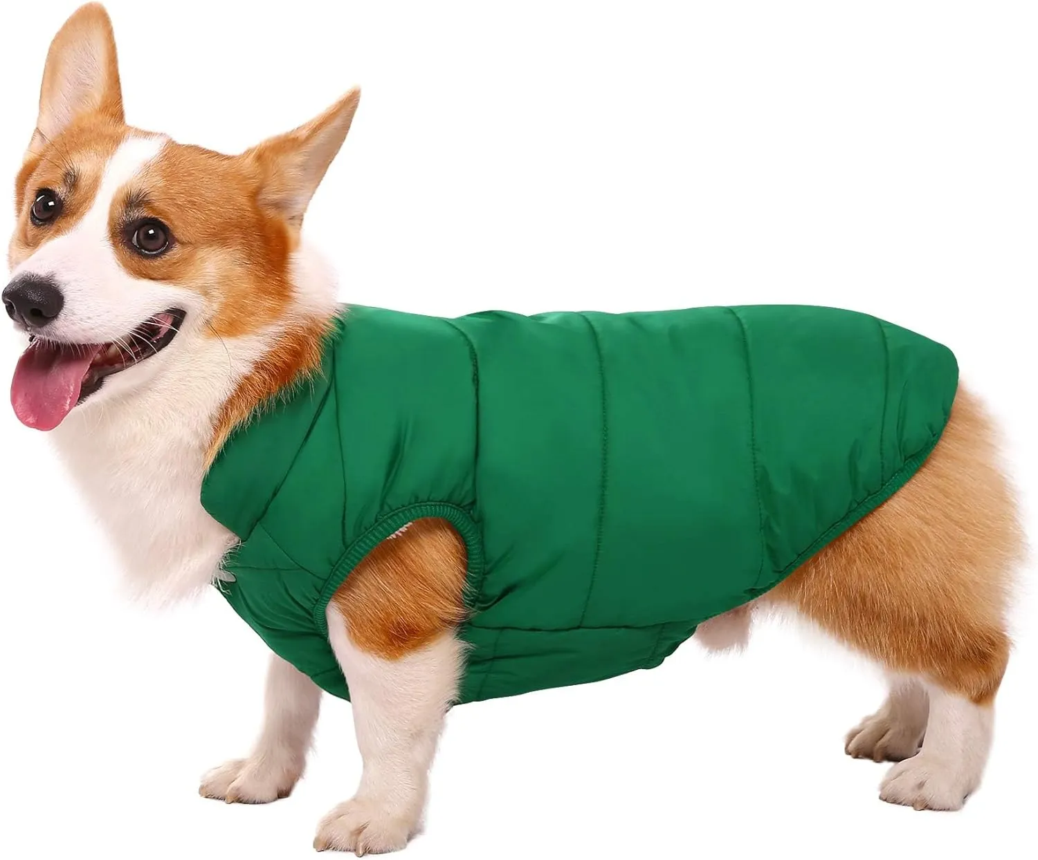 ASENKU Windproof Winter Coat - Waterproof Jacket, Warm Vest for Dogs, Cold Weather Pet Apparel With 2 Layers Fleece Lined for Small Medium Large Dogs (XS, Green)