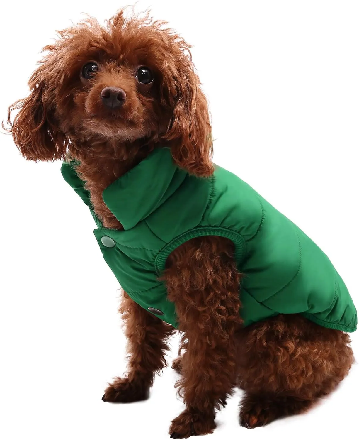 ASENKU Windproof Winter Coat - Waterproof Jacket, Warm Vest for Dogs, Cold Weather Pet Apparel With 2 Layers Fleece Lined for Small Medium Large Dogs (XS, Green)