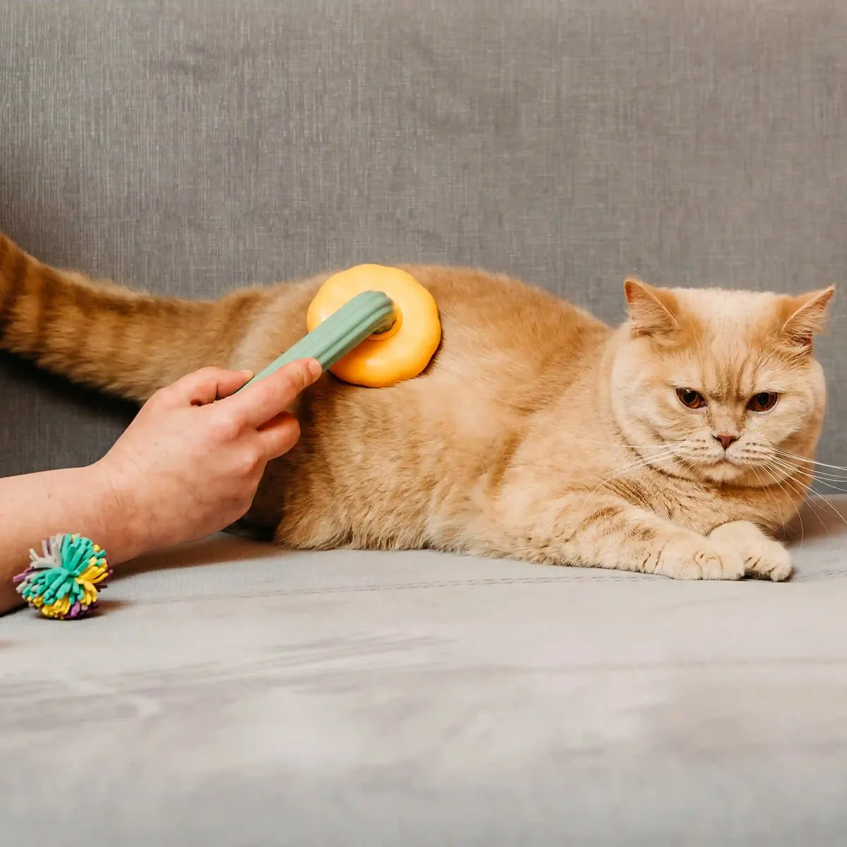 BrushBuddy - Pet Grooming Brush