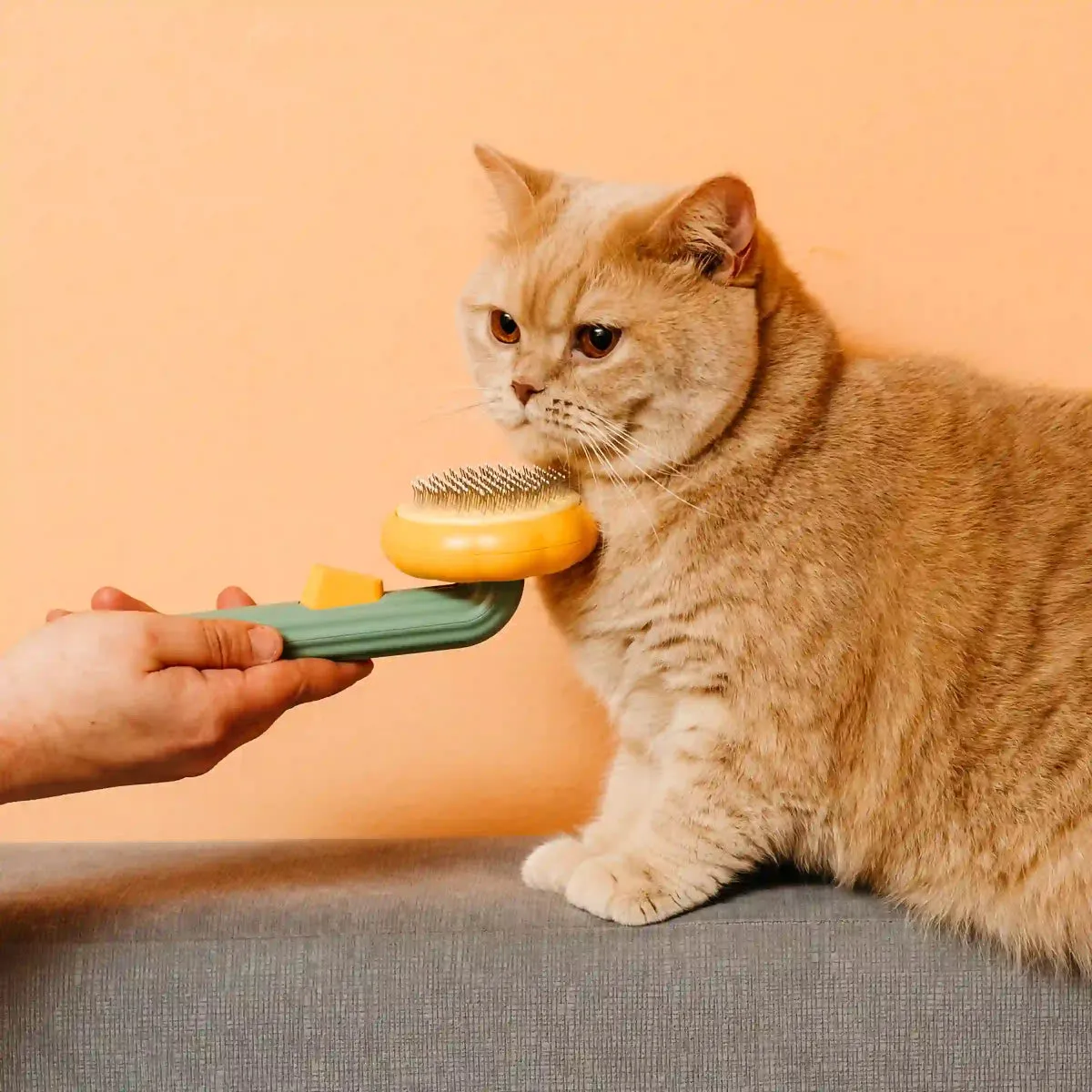 BrushBuddy - Pet Grooming Brush