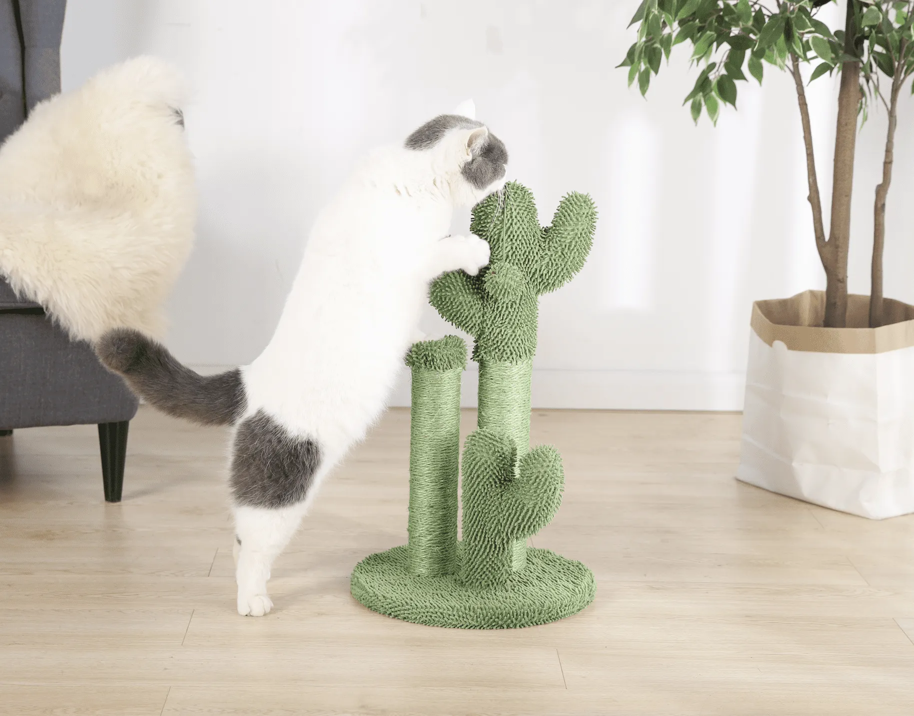 Cactus 3-Arm Chenille, Sisal & Jute Cat Scratching Post with Cat Toy