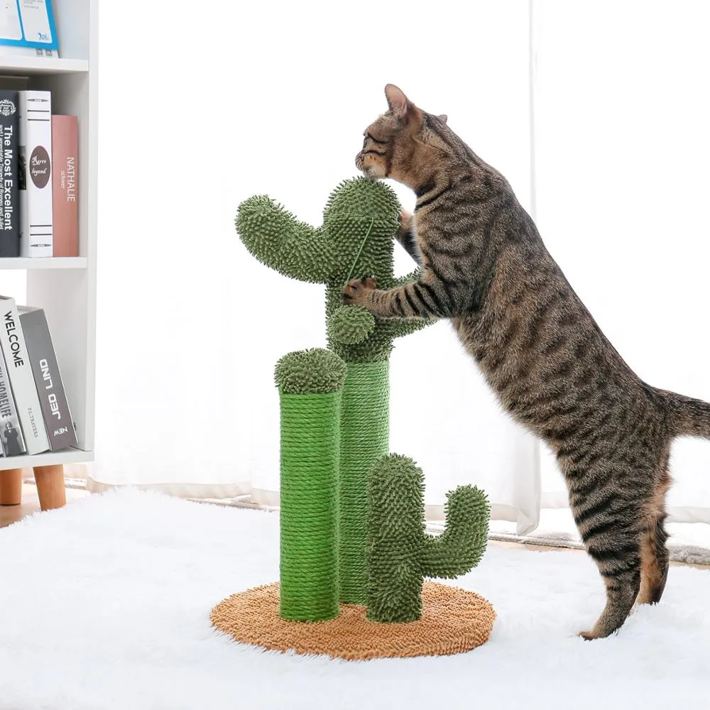 Cactus cat scratcher post featuring cat tree
