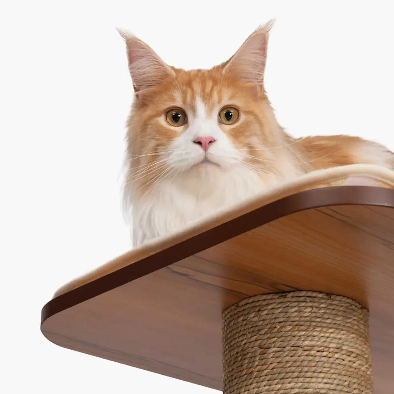 Catit Vesper High Base Giant