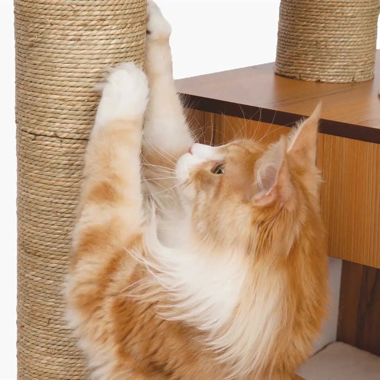 Catit Vesper High Base Giant
