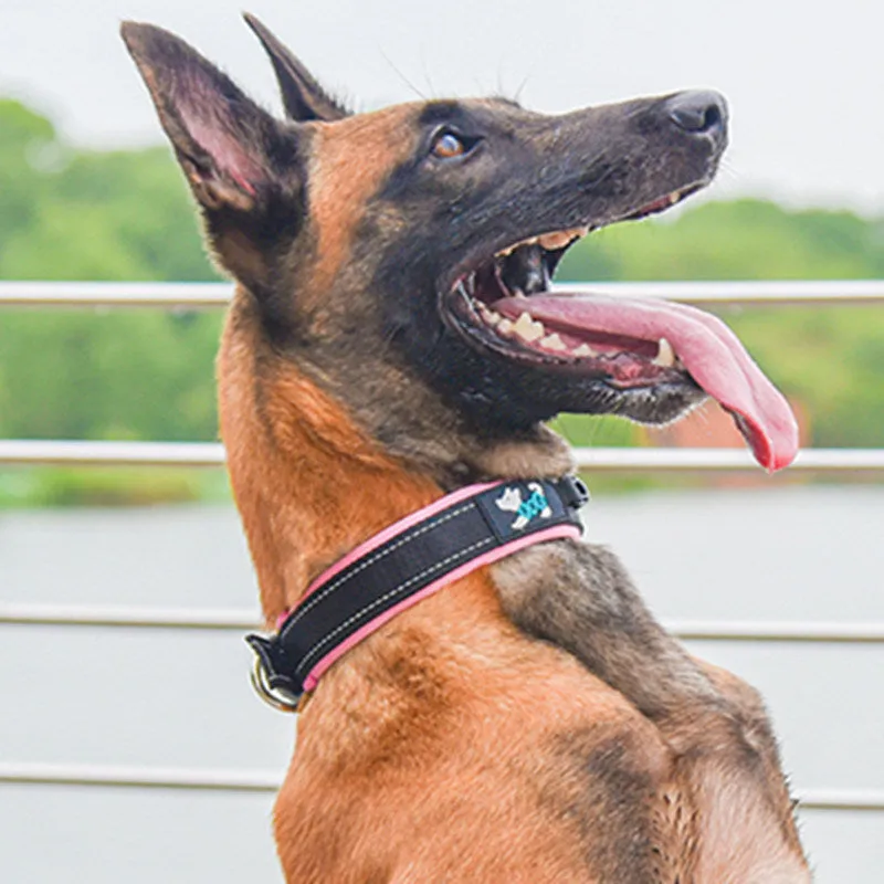 Comfortable Fit Reflective Nylon Dog Collar