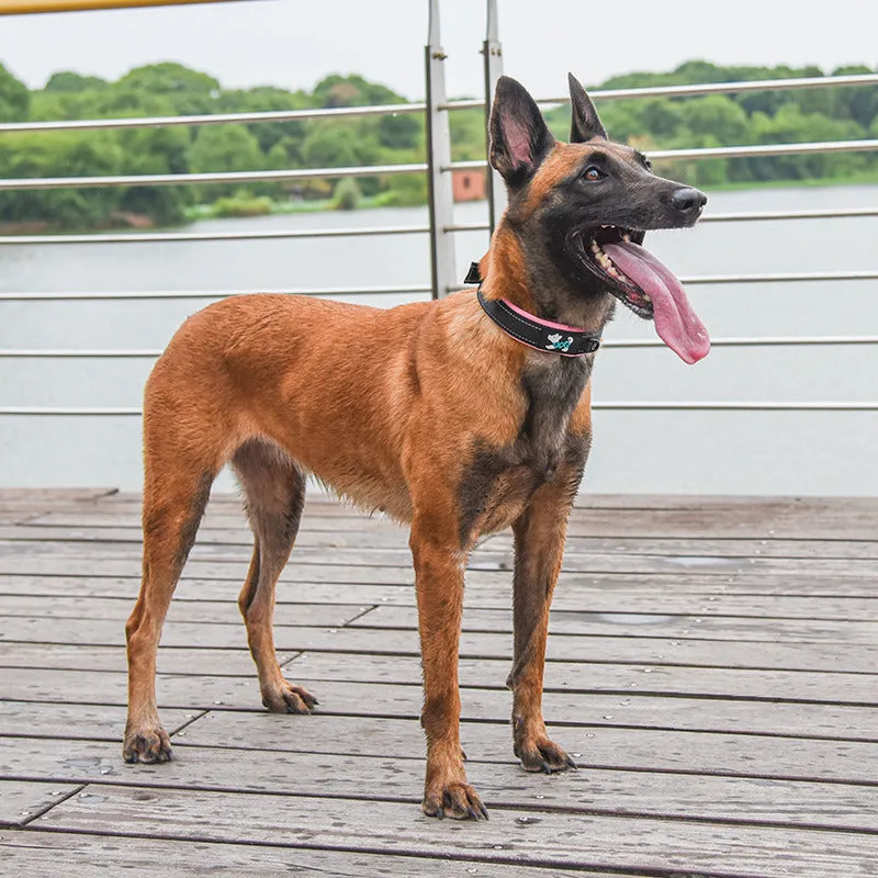 Comfortable Fit Reflective Nylon Dog Collar