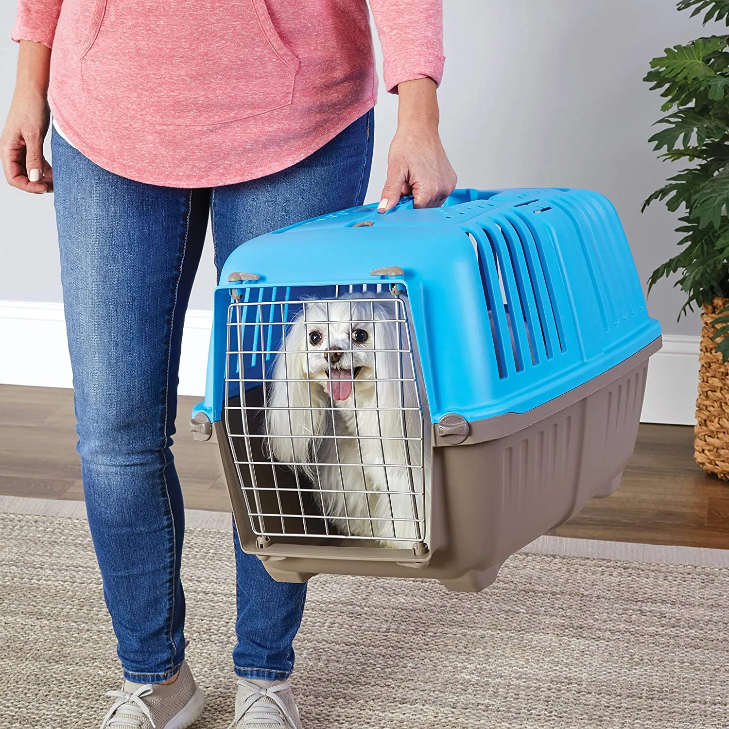 Dog Carrier Features Easy Assembly and Not The Tedious Nut