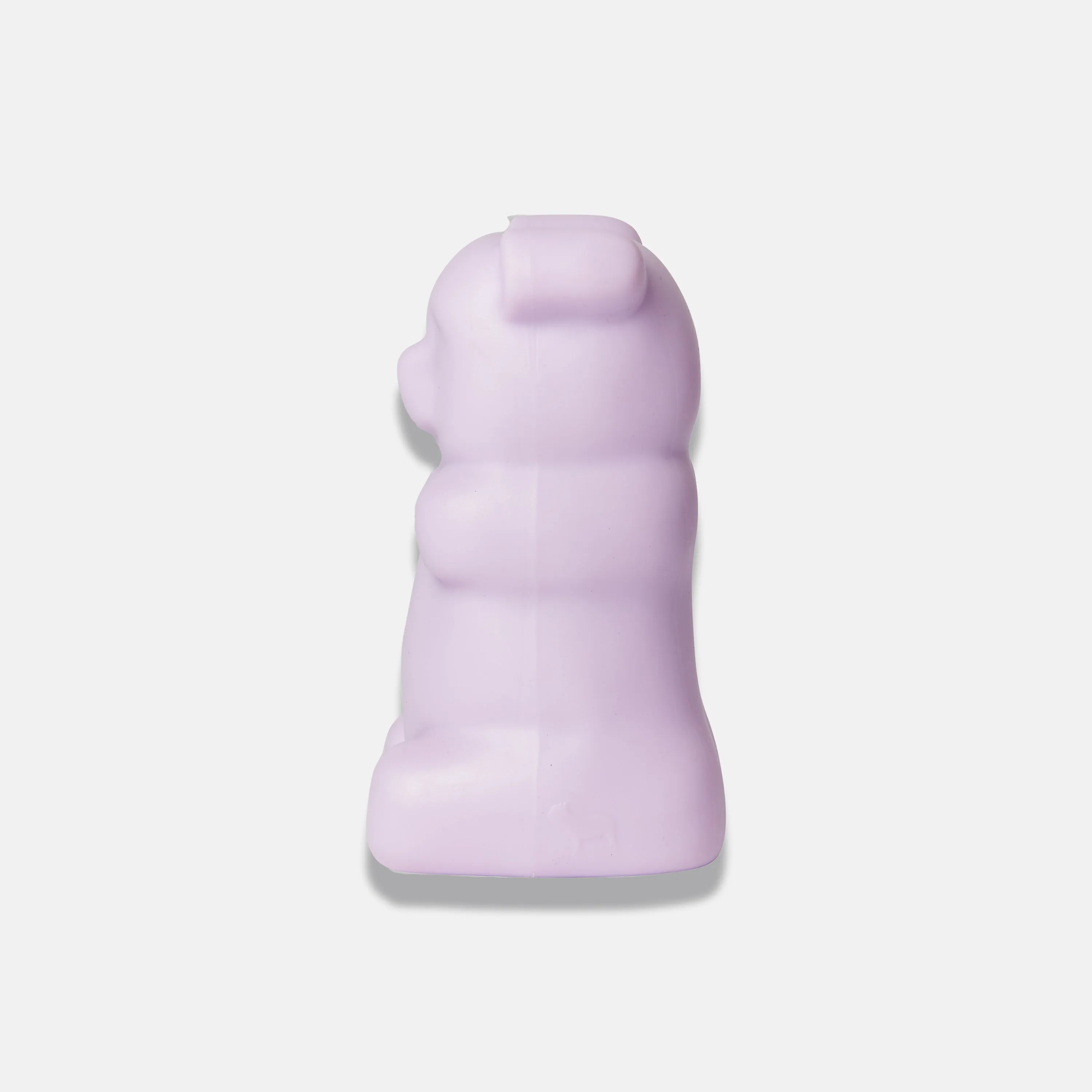 Gummy Squeaky Dog Toy