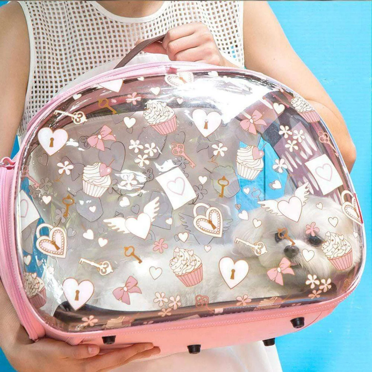 Ibiyaya Hello World Pet Carrier | Transparent Hard Rock