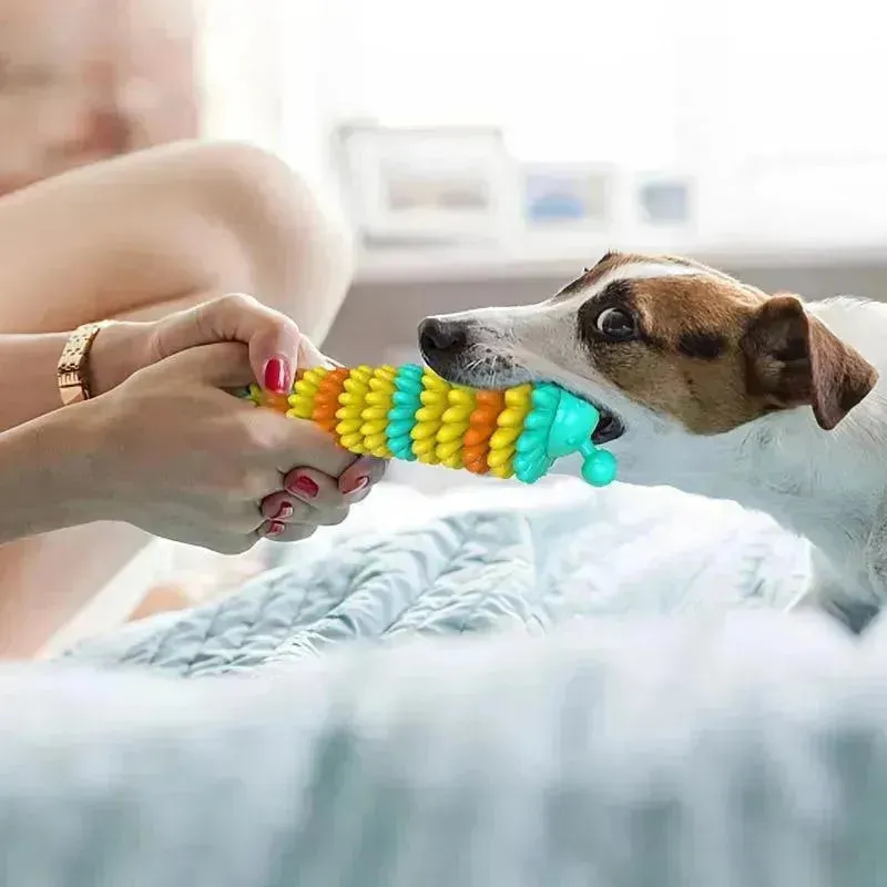 Indestructible Natural Rubber Dog Chew Toys