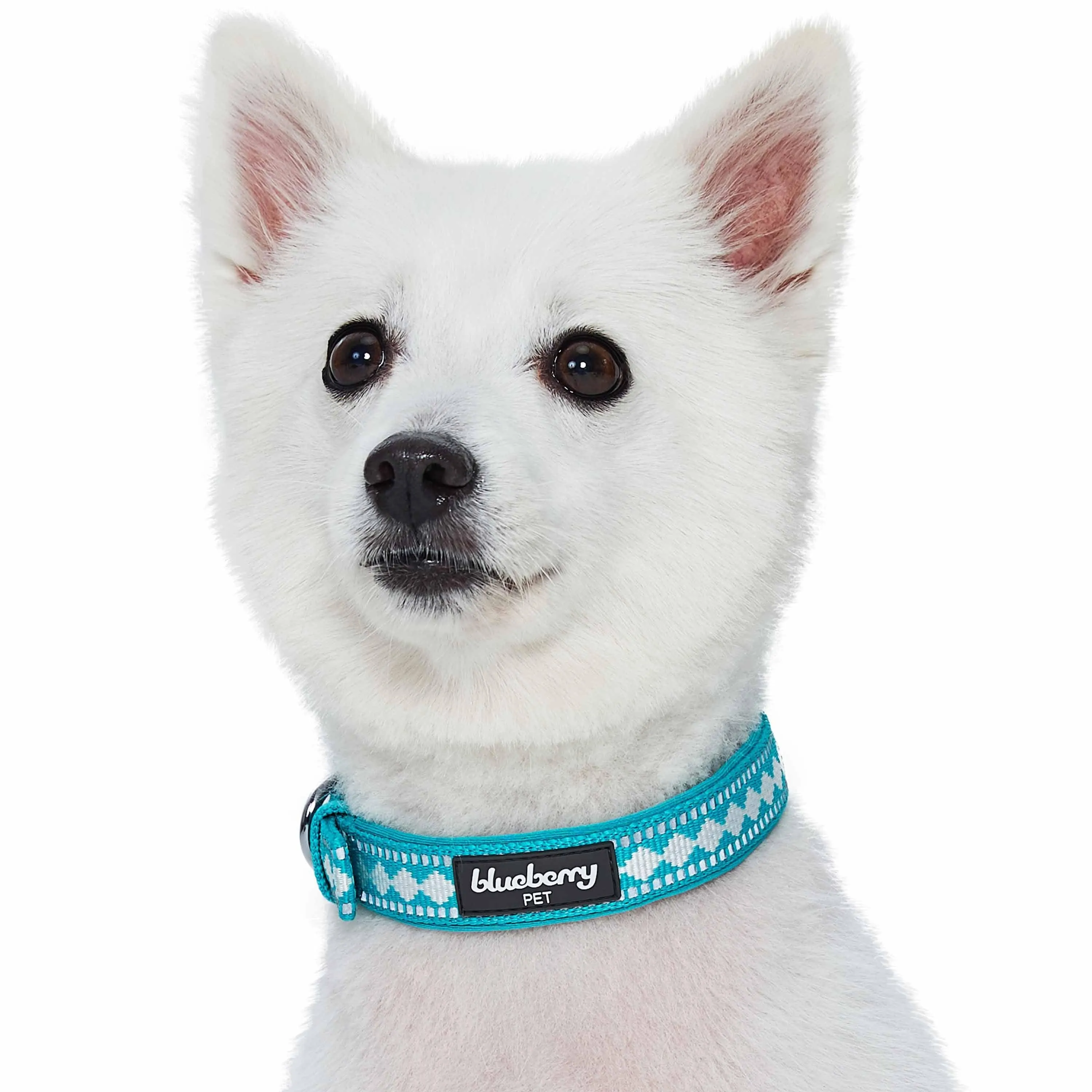 Jacquard Dog Collar with 3M Reflective Neoprene Padding