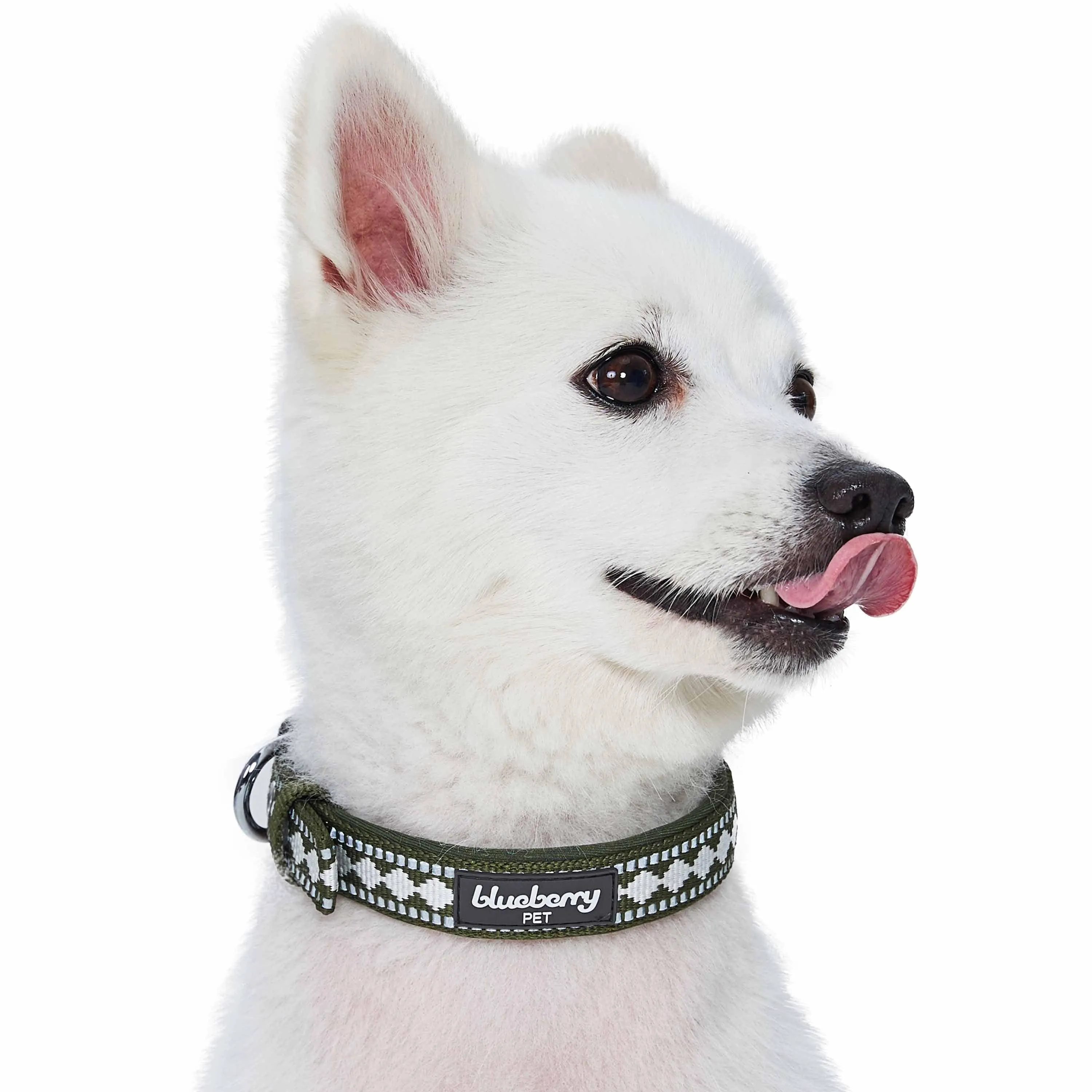 Jacquard Dog Collar with 3M Reflective Neoprene Padding