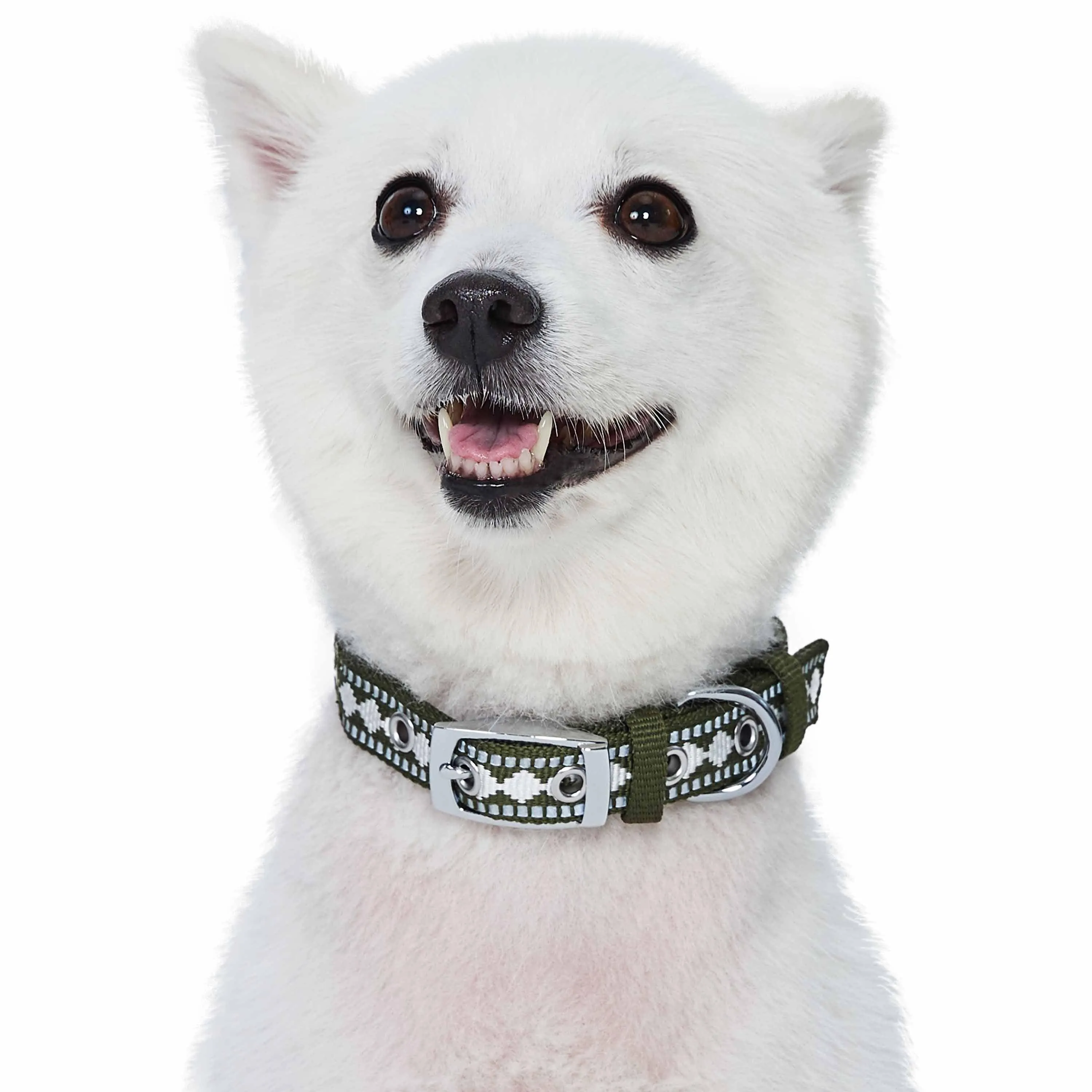 Jacquard Dog Collar with 3M Reflective Neoprene Padding
