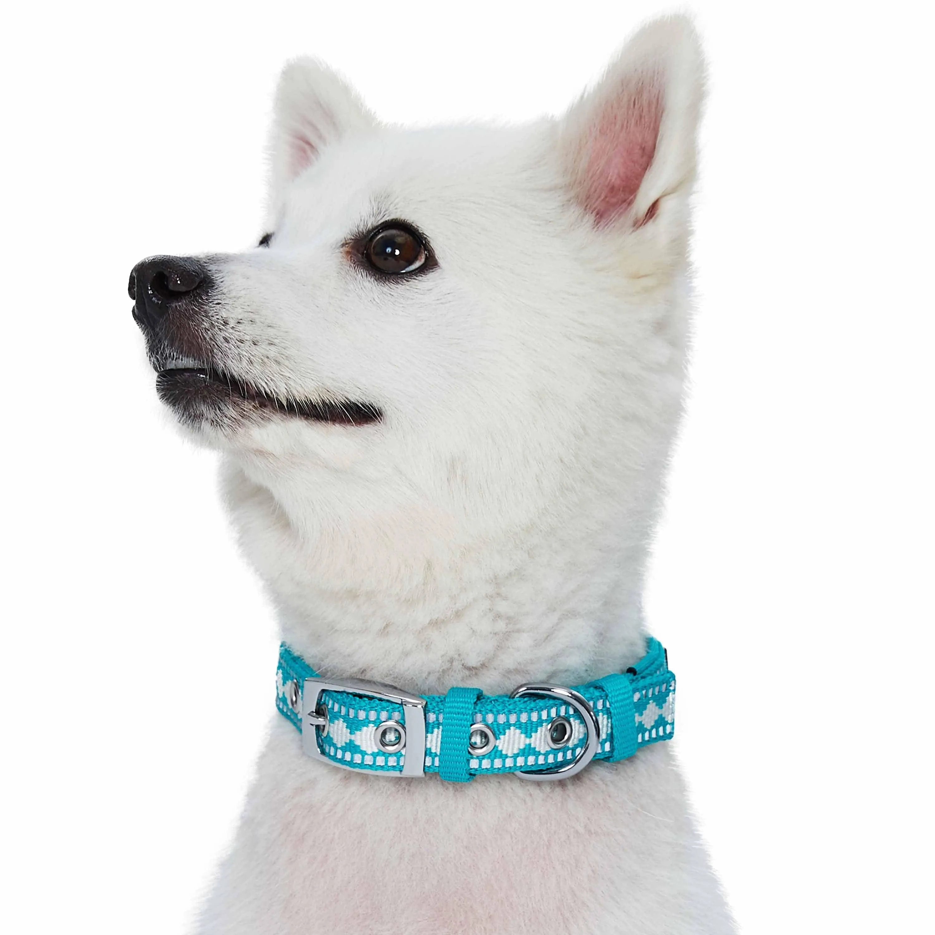 Jacquard Dog Collar with 3M Reflective Neoprene Padding