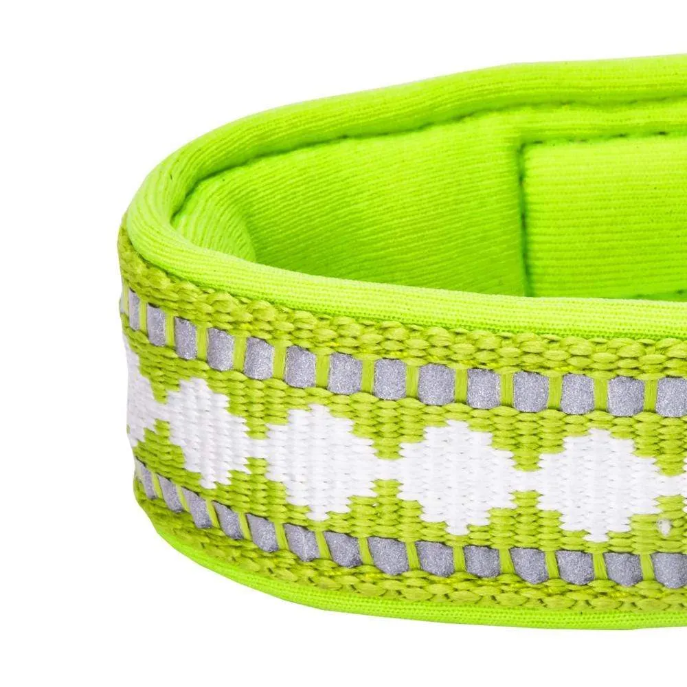 Jacquard Dog Collar with 3M Reflective Neoprene Padding