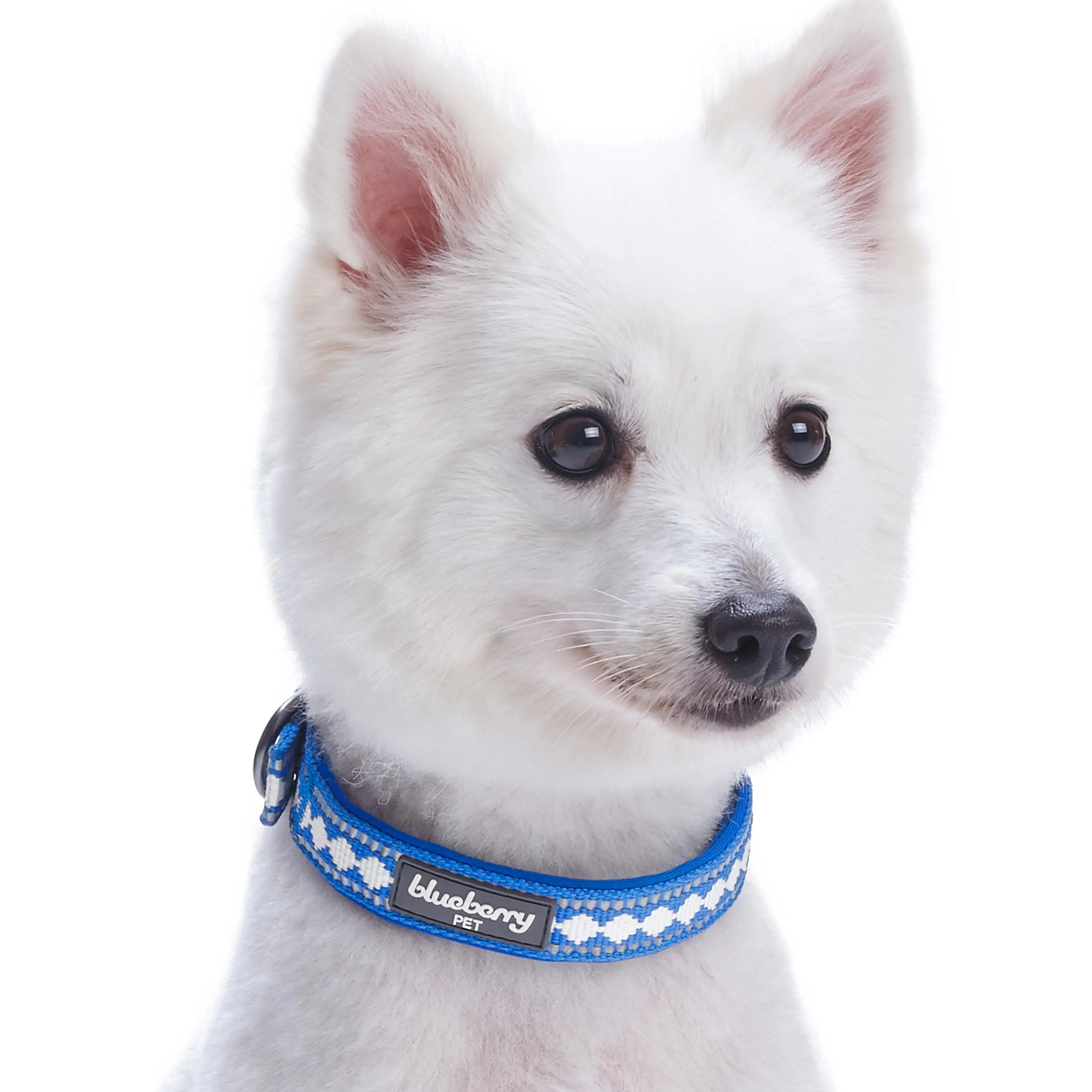 Jacquard Dog Collar with 3M Reflective Neoprene Padding