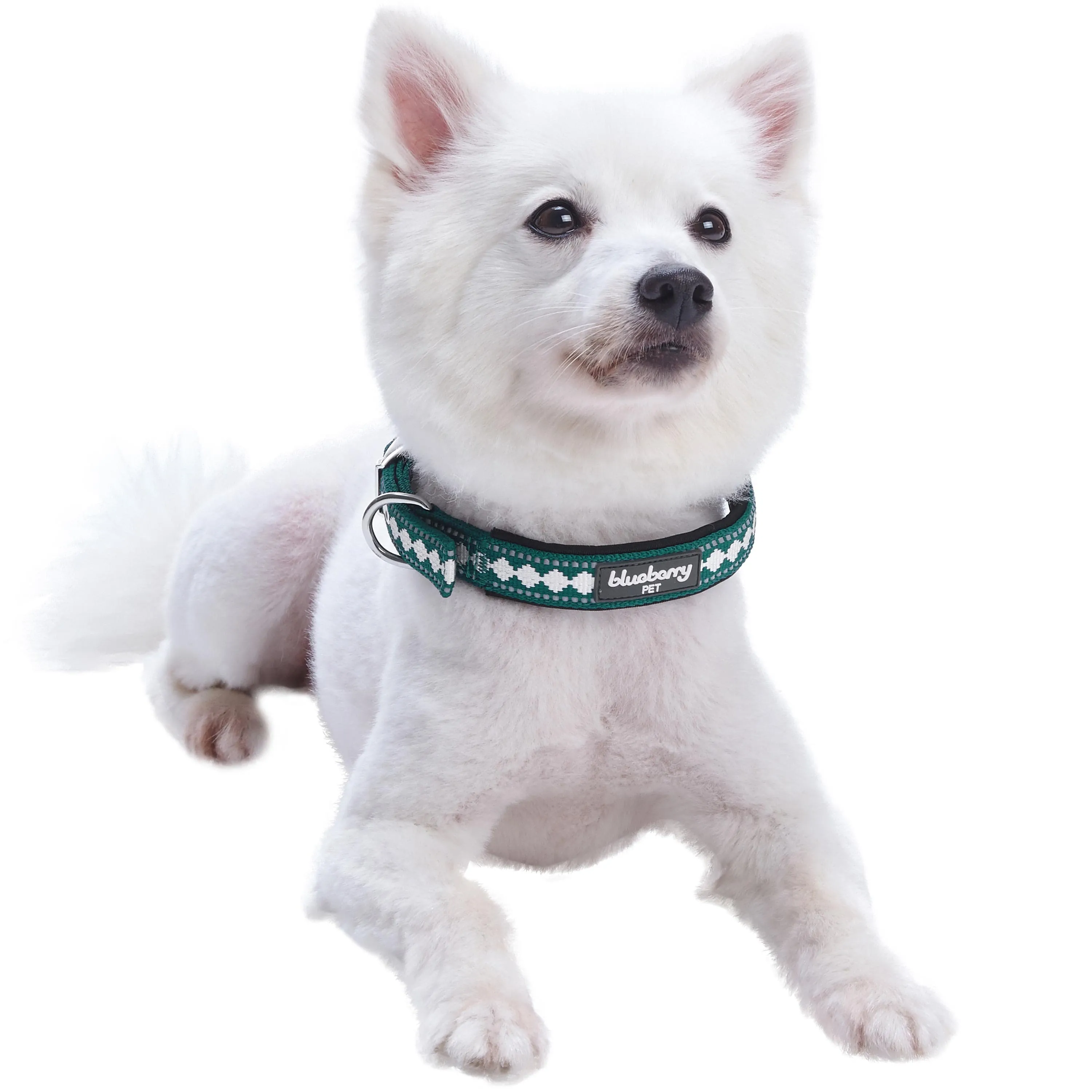 Jacquard Dog Collar with 3M Reflective Neoprene Padding