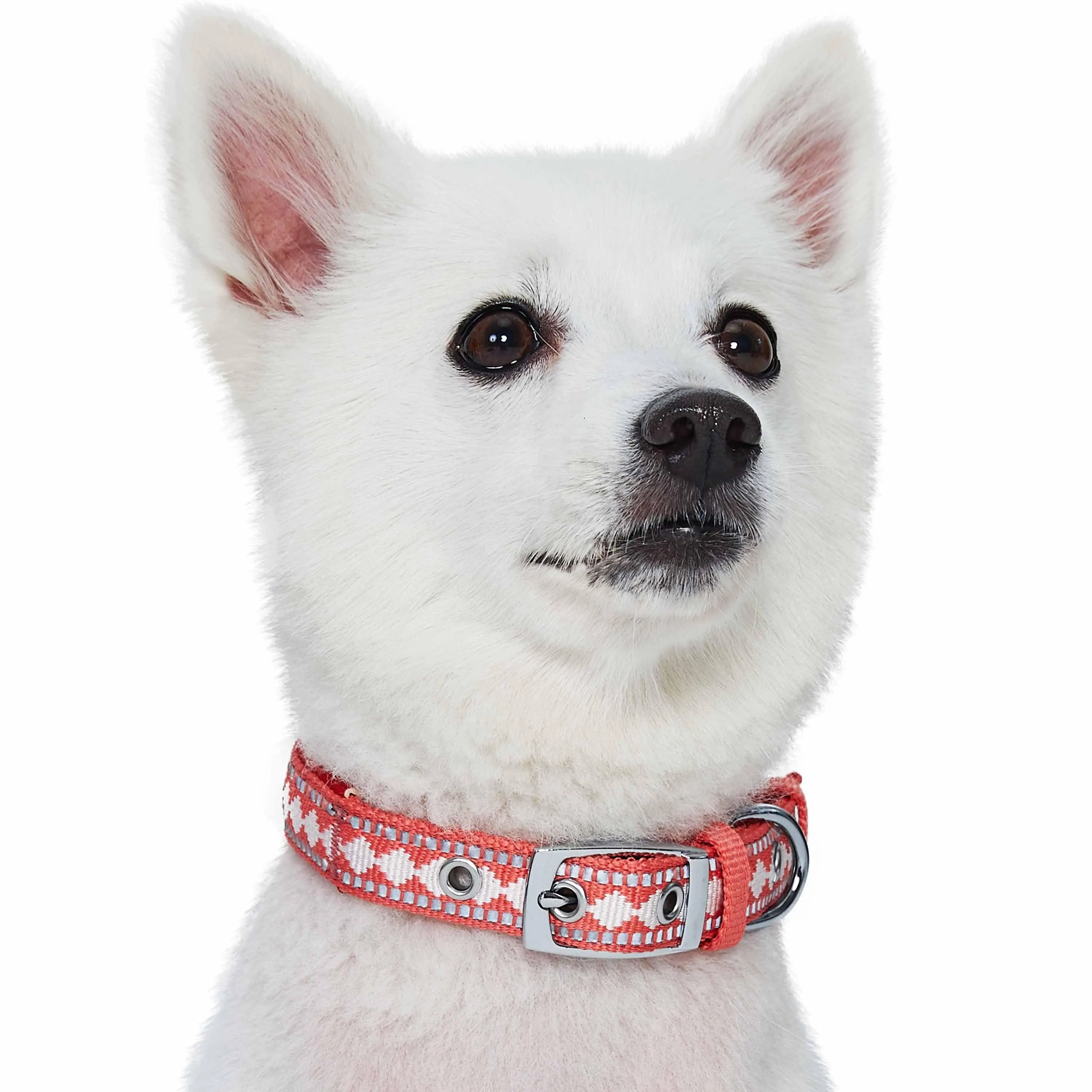 Jacquard Dog Collar with 3M Reflective Neoprene Padding