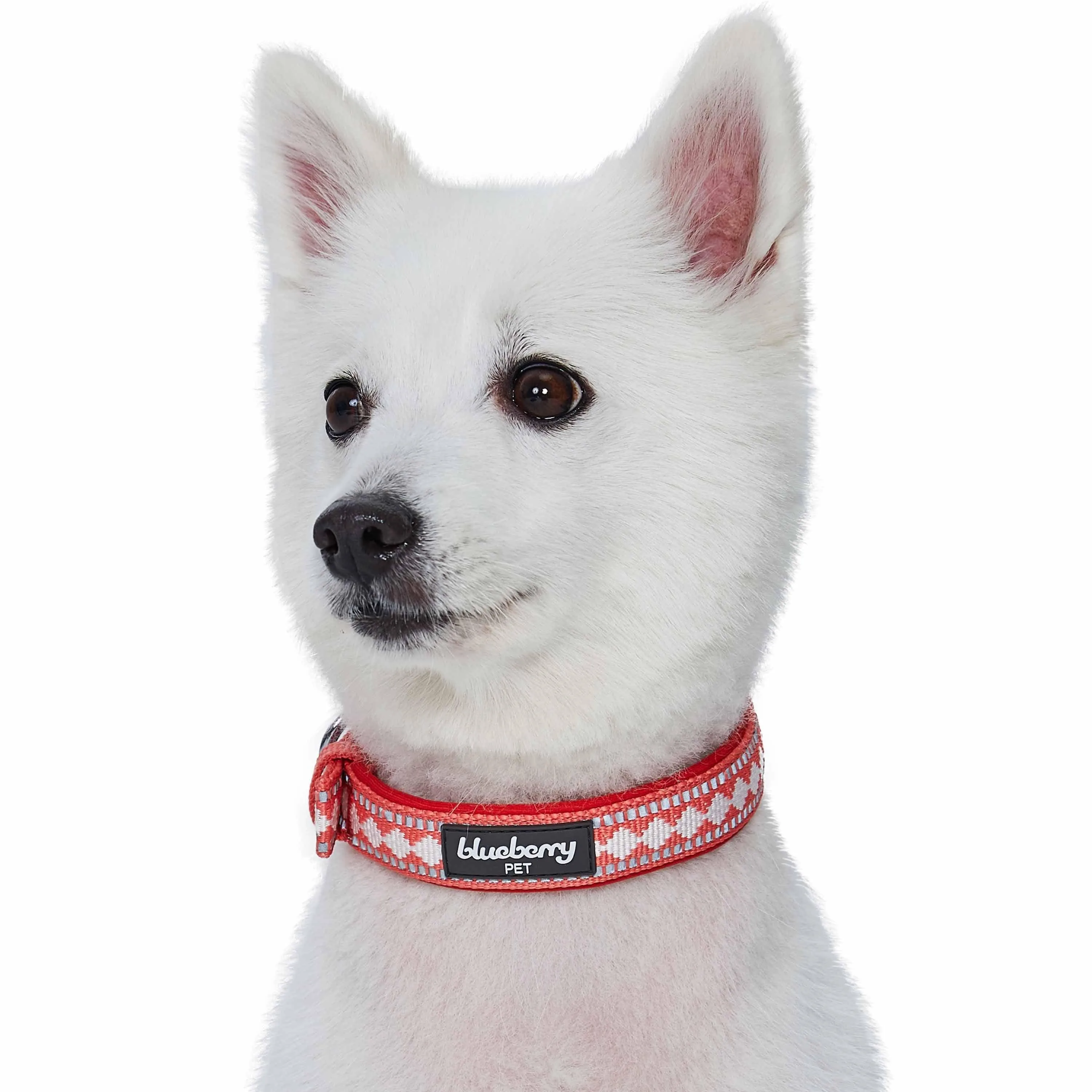 Jacquard Dog Collar with 3M Reflective Neoprene Padding
