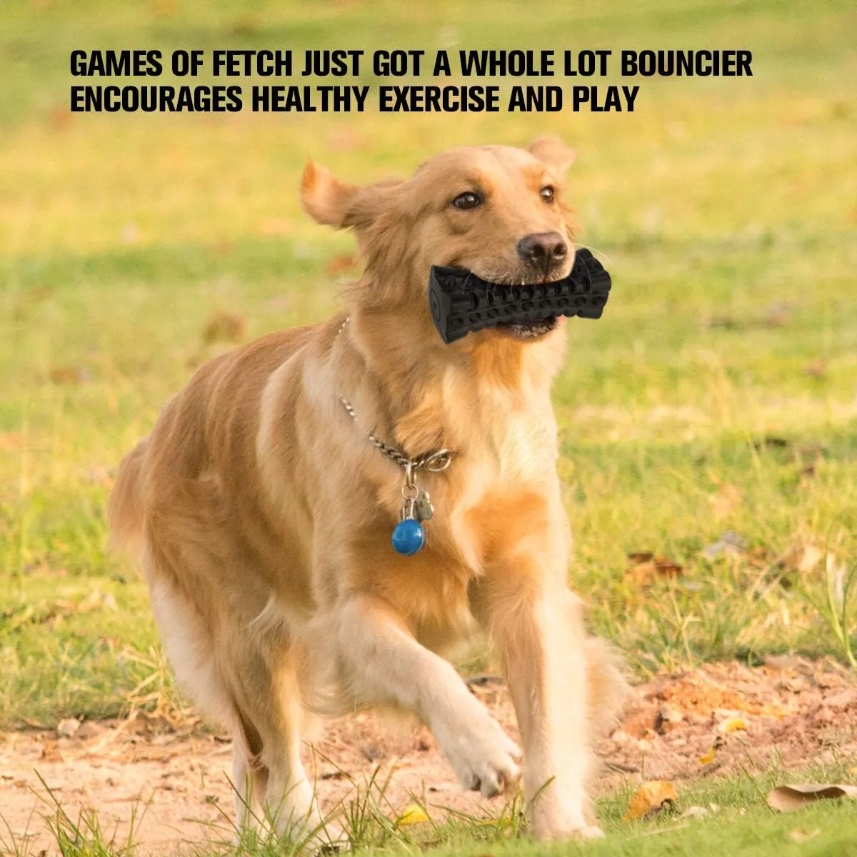 NEW VANFINE Dog Squeaky Toys Almost Indestructible Tough Durable Dog Toys Dog chew Toys for Large Dogs Aggressive chewers Stick Toys Puppy Chew Toys with Non-Toxic Natural Rubber (6.5inch-Cube, Black)