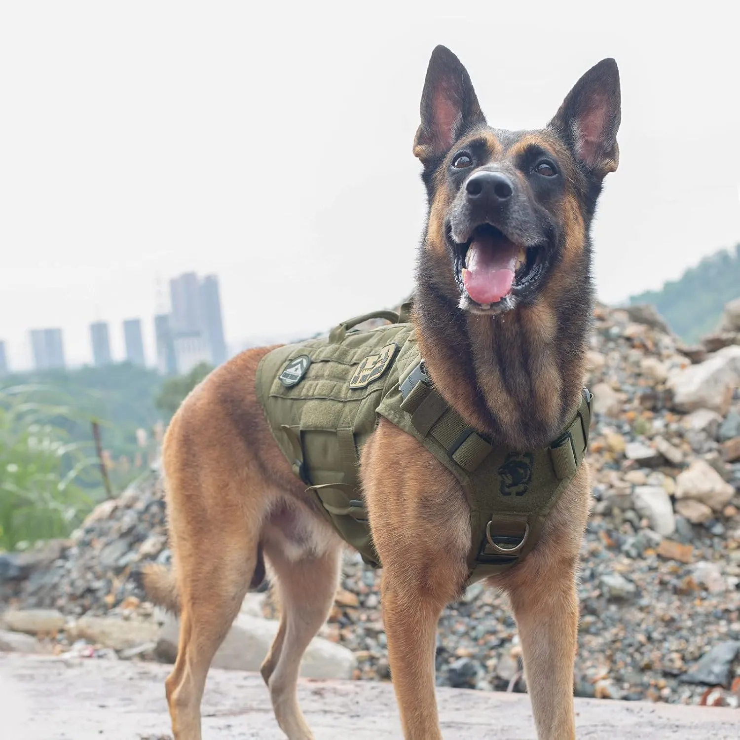 OneTigris Large Tactical Dog Harness, No Pulling Adjustable Dog Vest Harness, Heavy Duty Dog Harness with Handle, Large Hook and Loop Panels for Patch Green