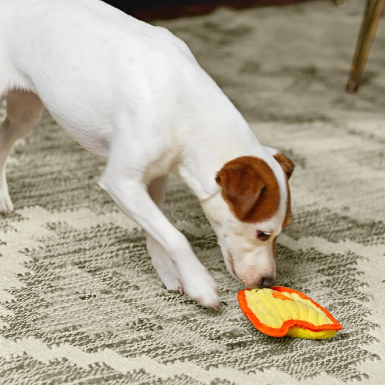 Outward Hound Durablez Minis Stuffing-Free Squeaky Interactive Dog Toy, Tough Plush, Chicken, Yellow, XS