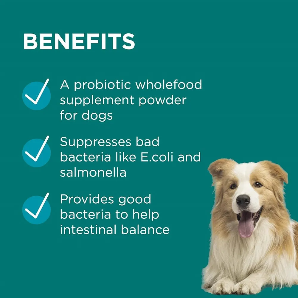 Paw Digestive Power Supplement for Dogs and Cats