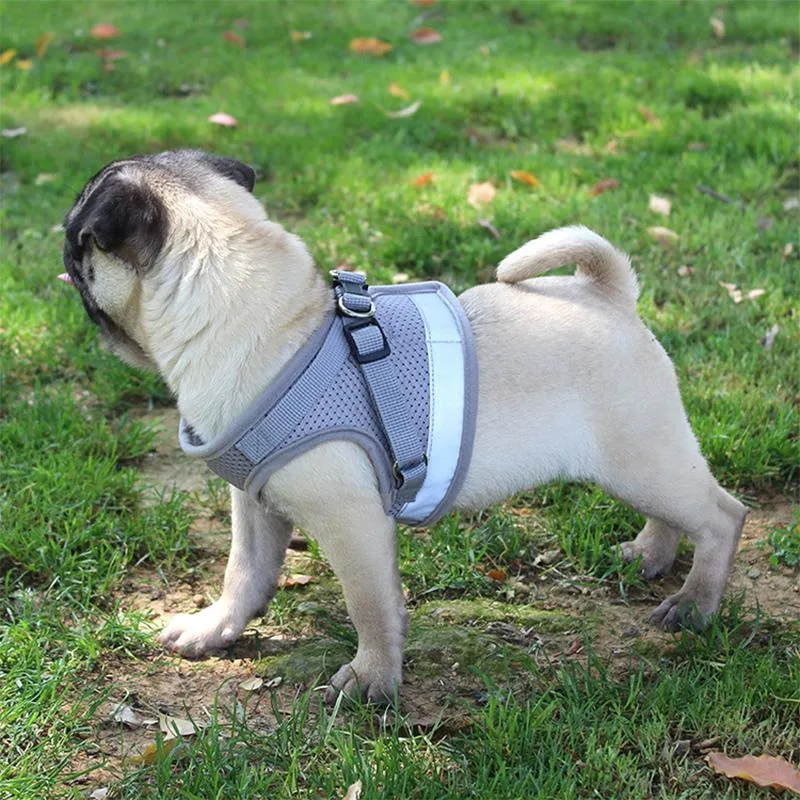 Pet Reflective Chest Strap