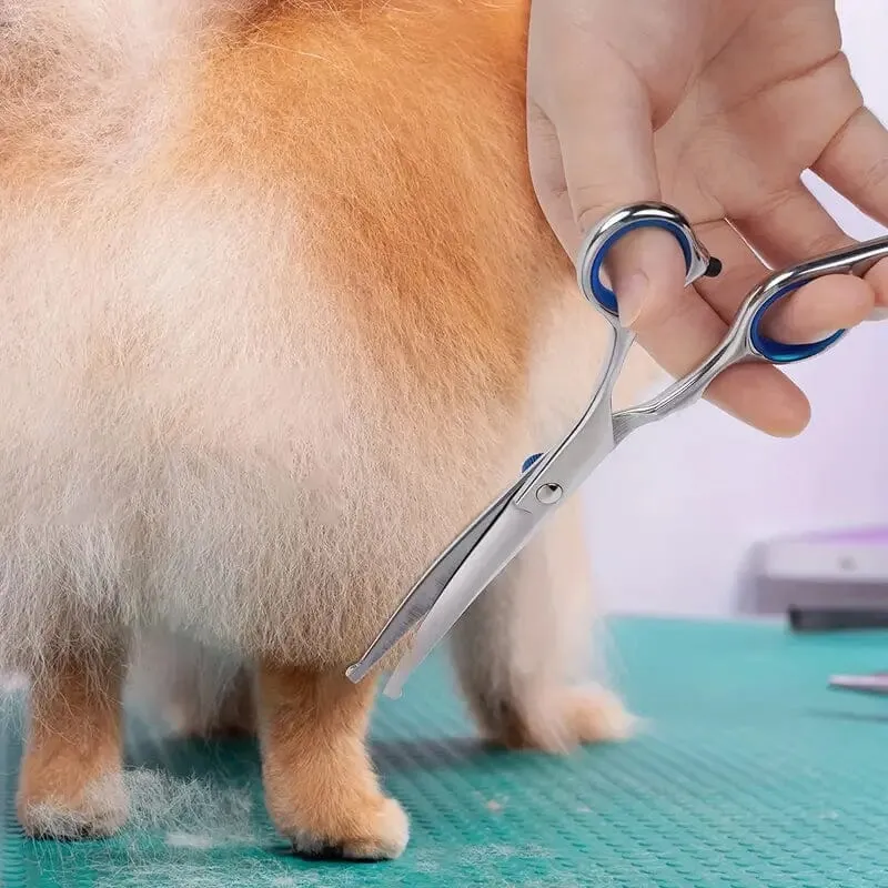 Premium Pet Grooming Scissor