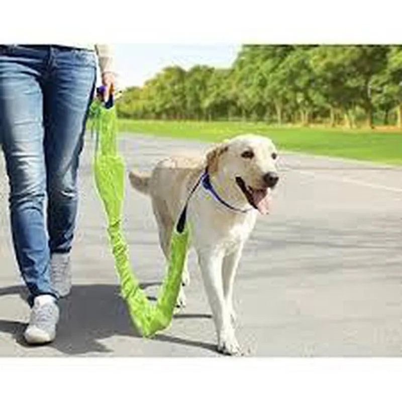Reflective Pet Leash