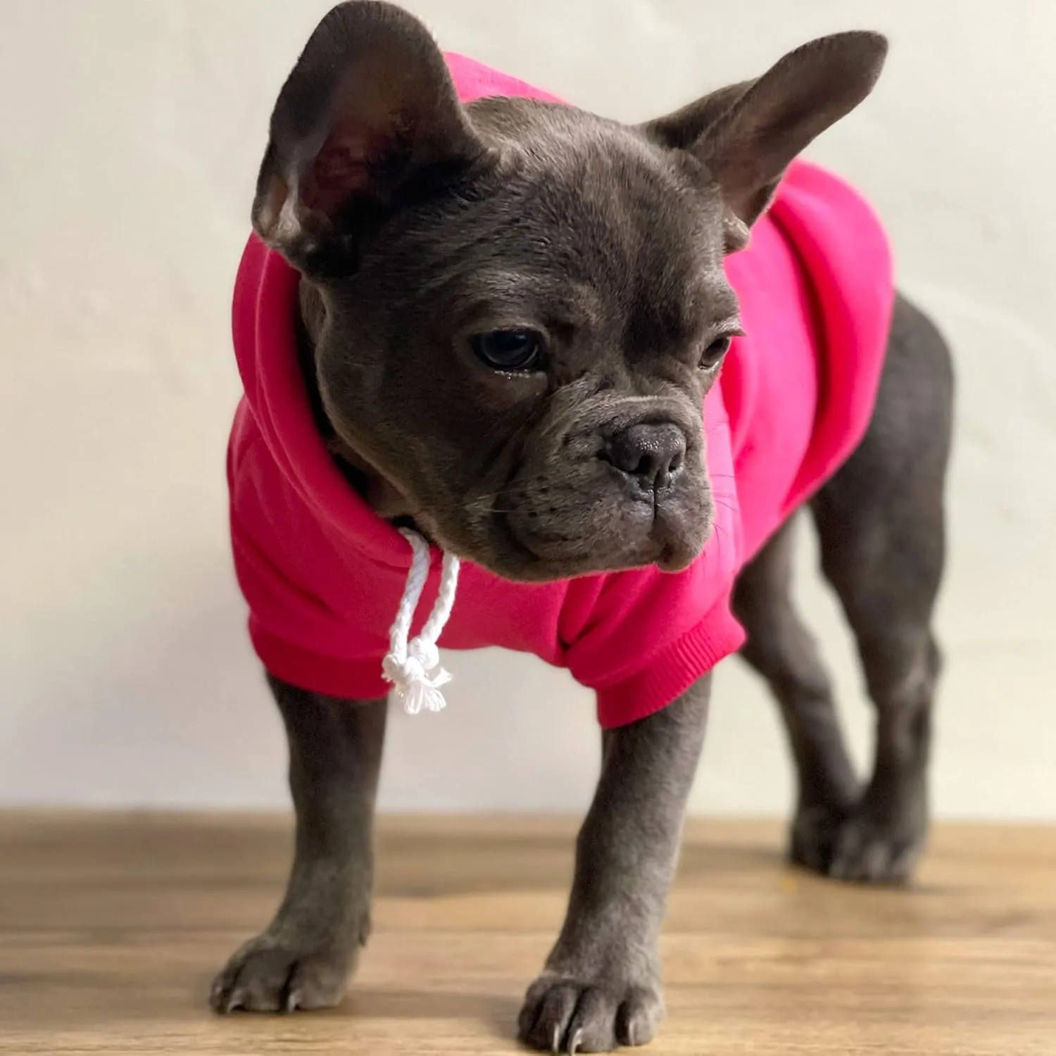 She Said Yes! Wedding Engagement Announcement Dog Hoodie Fleece Lined Pullover Sweatshirt with Leash Hole (Royal Blue, 3X-Large 332)