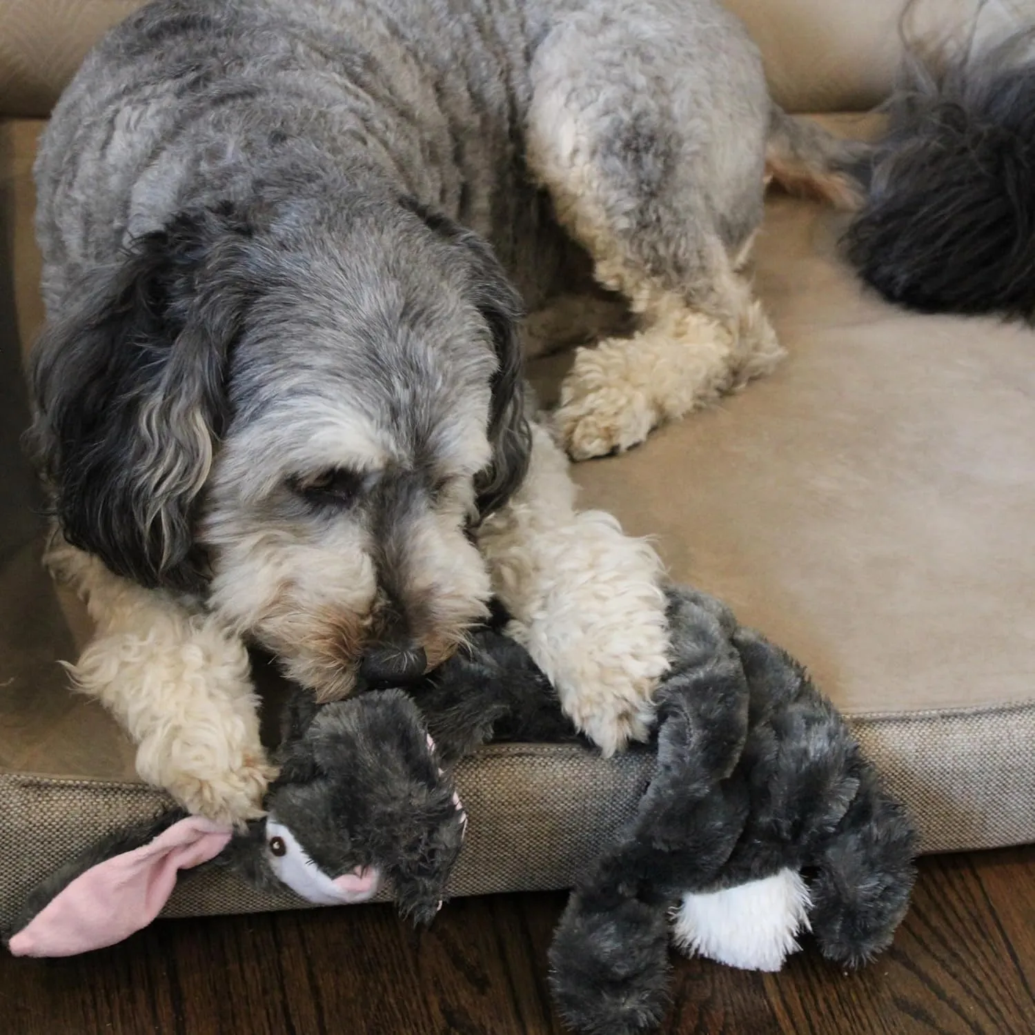 SPOT Skinneeez Tons-O-Squeakers Rabbit Dog Toy - with 19 Squeakers for Tons-O-Fun! Stuffing-Free Design is Great for Moderate Chewers, Tug Toy for Medium to Large Puppies & Dogs - 20in Color May Vary
