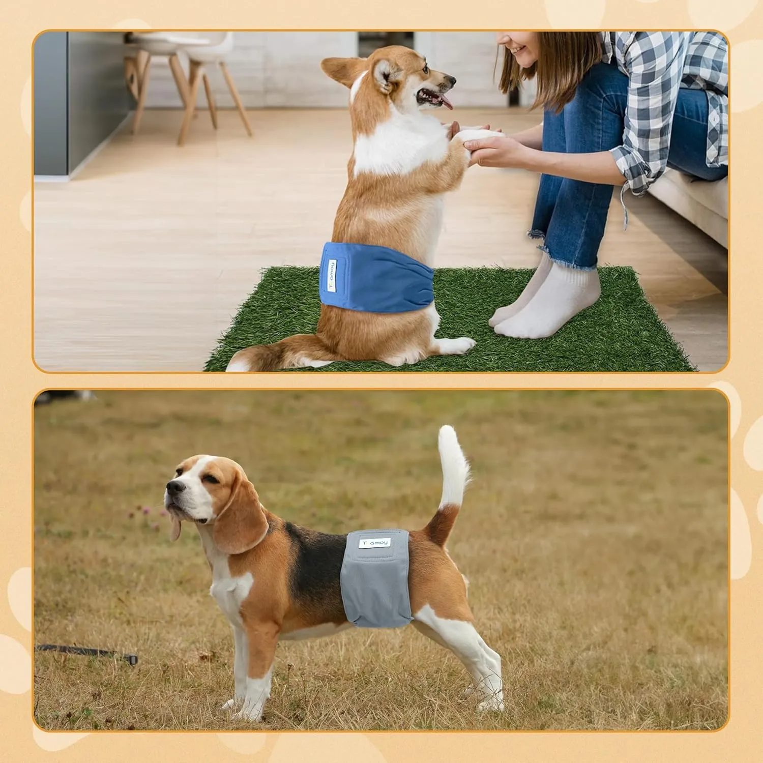 Teamoy Reusable Wrap Diapers for Male Dogs, Washable Puppy Belly Band Pack of 3 (XS, 7"-9" Waist, Orange  Denim  Fat Smile)