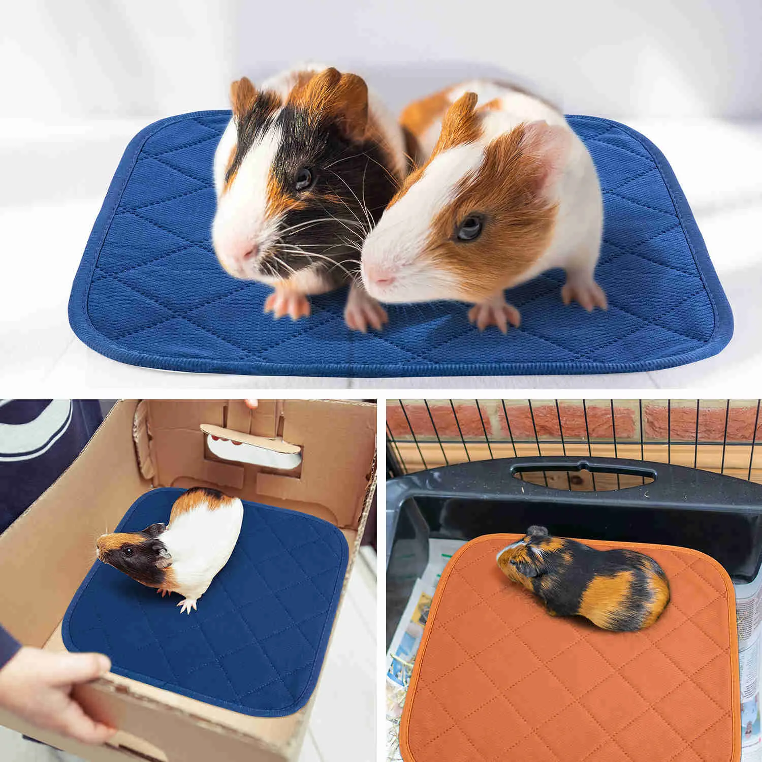 Washable Small Pet Pads, like guinea pigs(Blue/ Orange)
