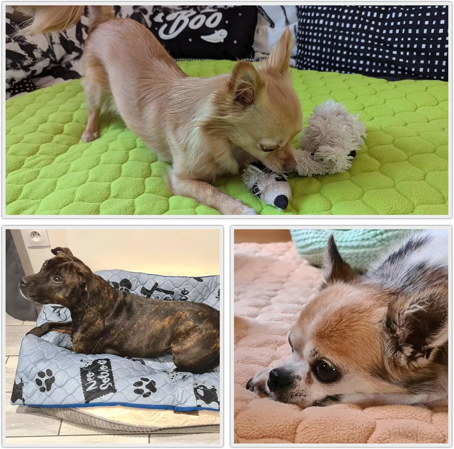 Waterproof and Comfortable Mat for Dogs and Cats - Protects Everything, No Liquid Passes Through - Portable - 47.2 x 23.6 in - Pink