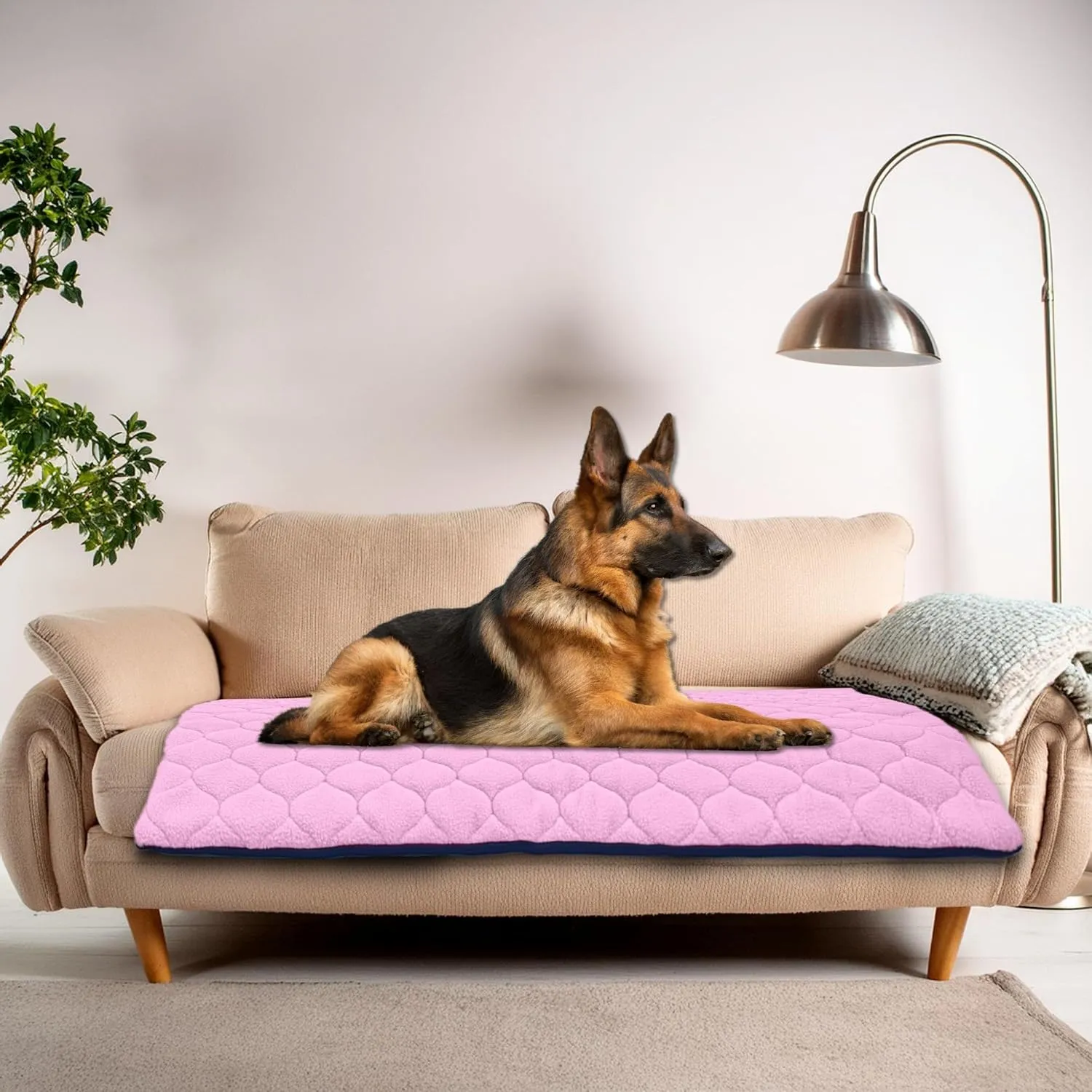 Waterproof and Comfortable Mat for Dogs and Cats - Protects Everything, No Liquid Passes Through - Portable - 47.2 x 23.6 in - Pink